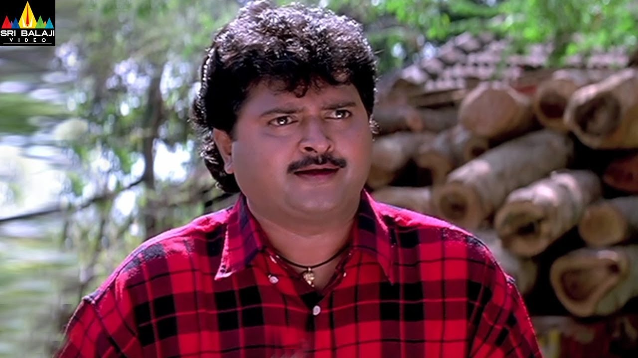 Pavitra Prema Movie Comedy Scenes Back to Back | Telugu Movie Comedy | Sri Balaji Video