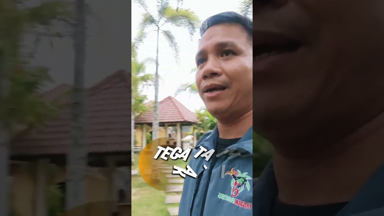 TEGA TA IMU KA IKIN || DAYAK BANYADU