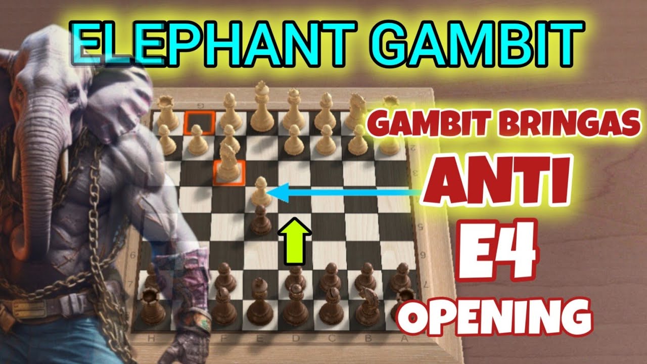 Gambit Hitam super agresif | Cukup 4 langkah memenangkan permainan