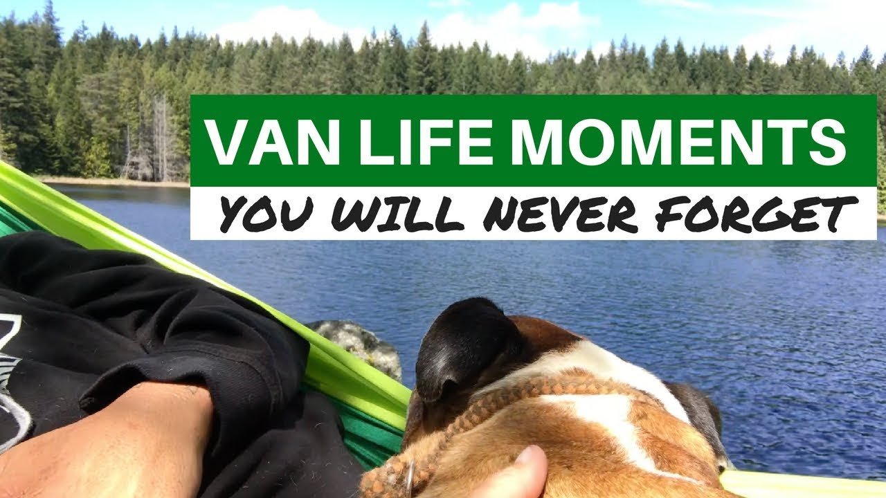Van Life Moments You Never Forget | Sunshine Coast