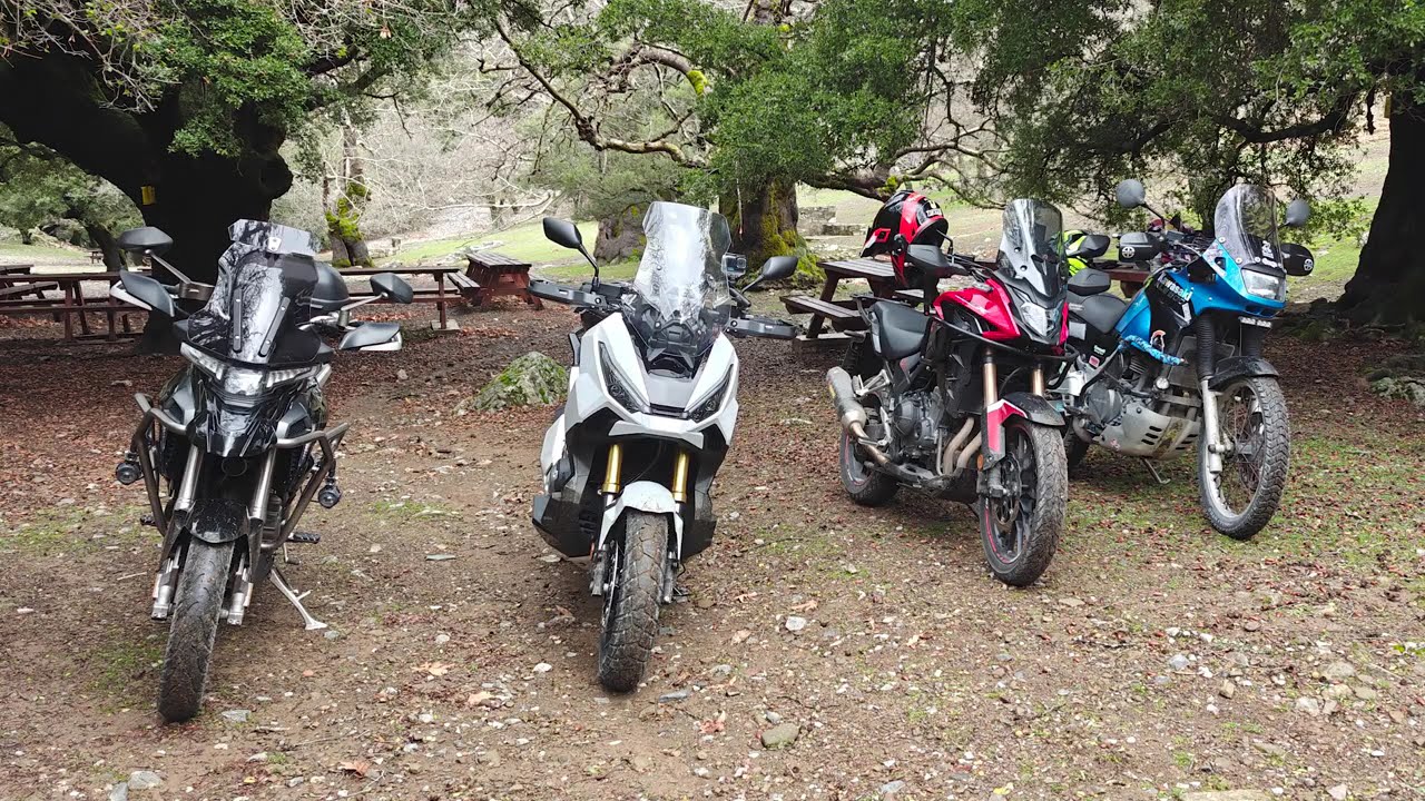 WINTER ADVENTURE RIDE, ROUVAS FOREST, CRETE - GREECE 