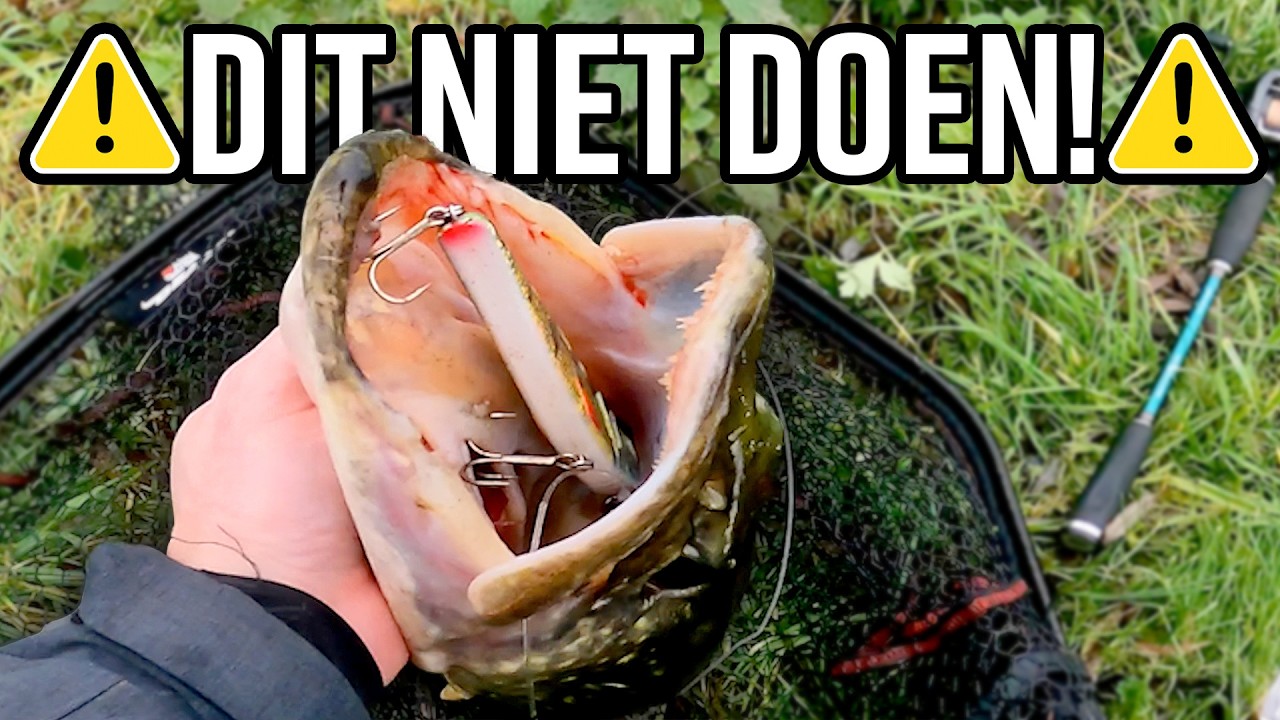 SNOEKEN - Doe Deze DRIE Dingen NIET!