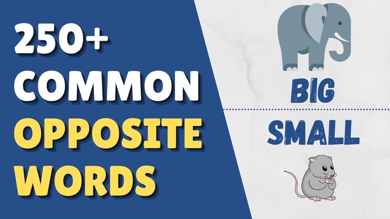 250 Opposite Words | Common Antonyms in English | English Vocabulary