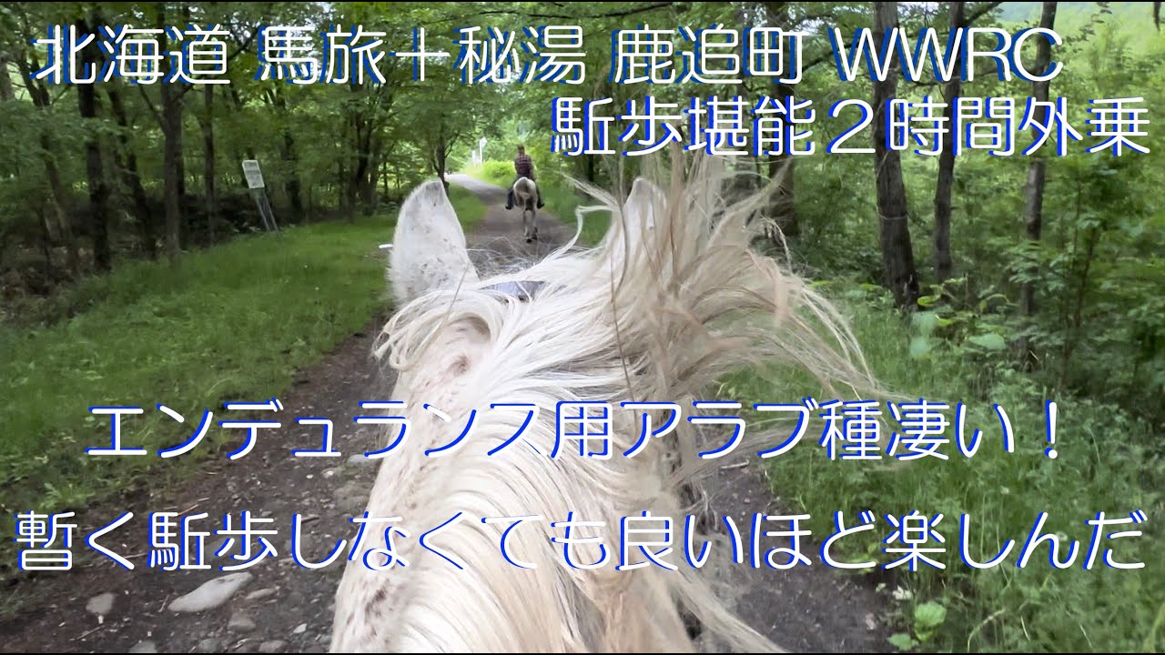北海道　秘湯（混浴）＋馬旅　2023年６月　３日目　WWRC ワイルドウエストライダークラブ