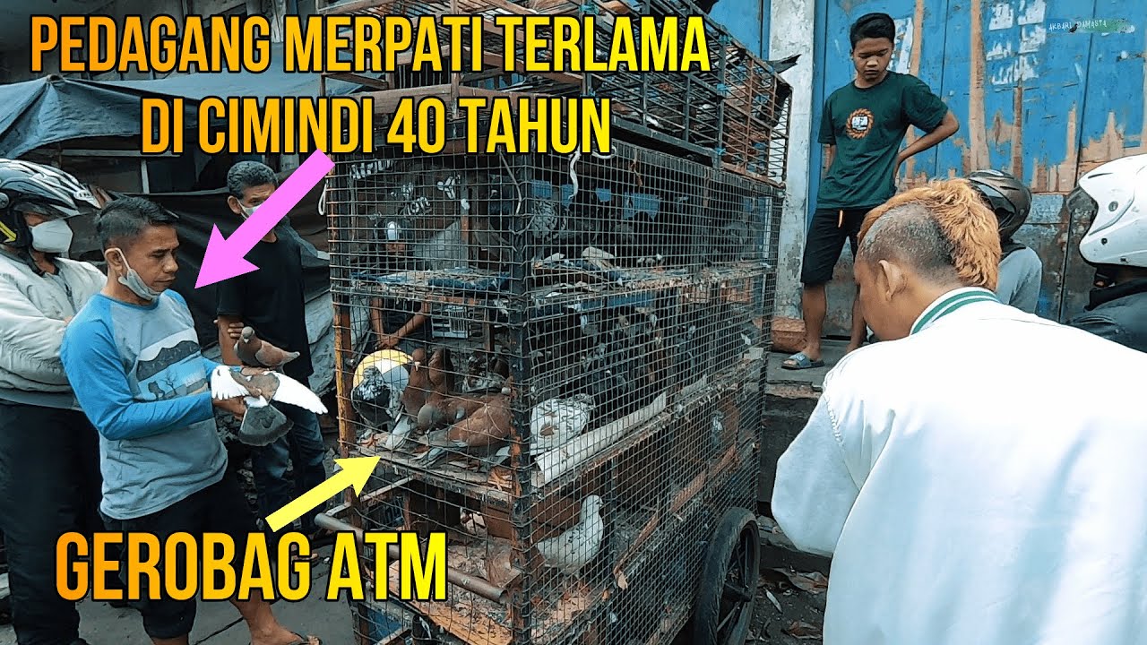 Pedagang Merpati Memakai Gerobag Bawah Fly Over Cimindi