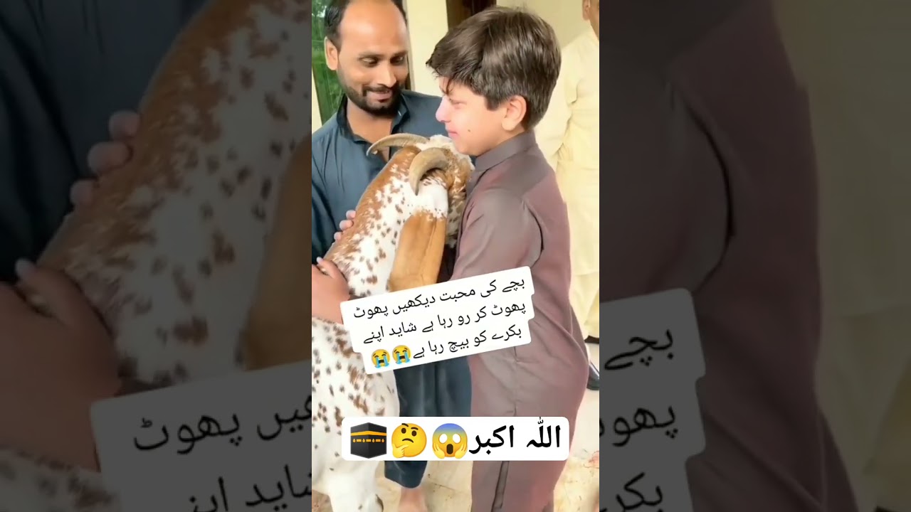 Bakra Eid 2023🥀❤️🌹