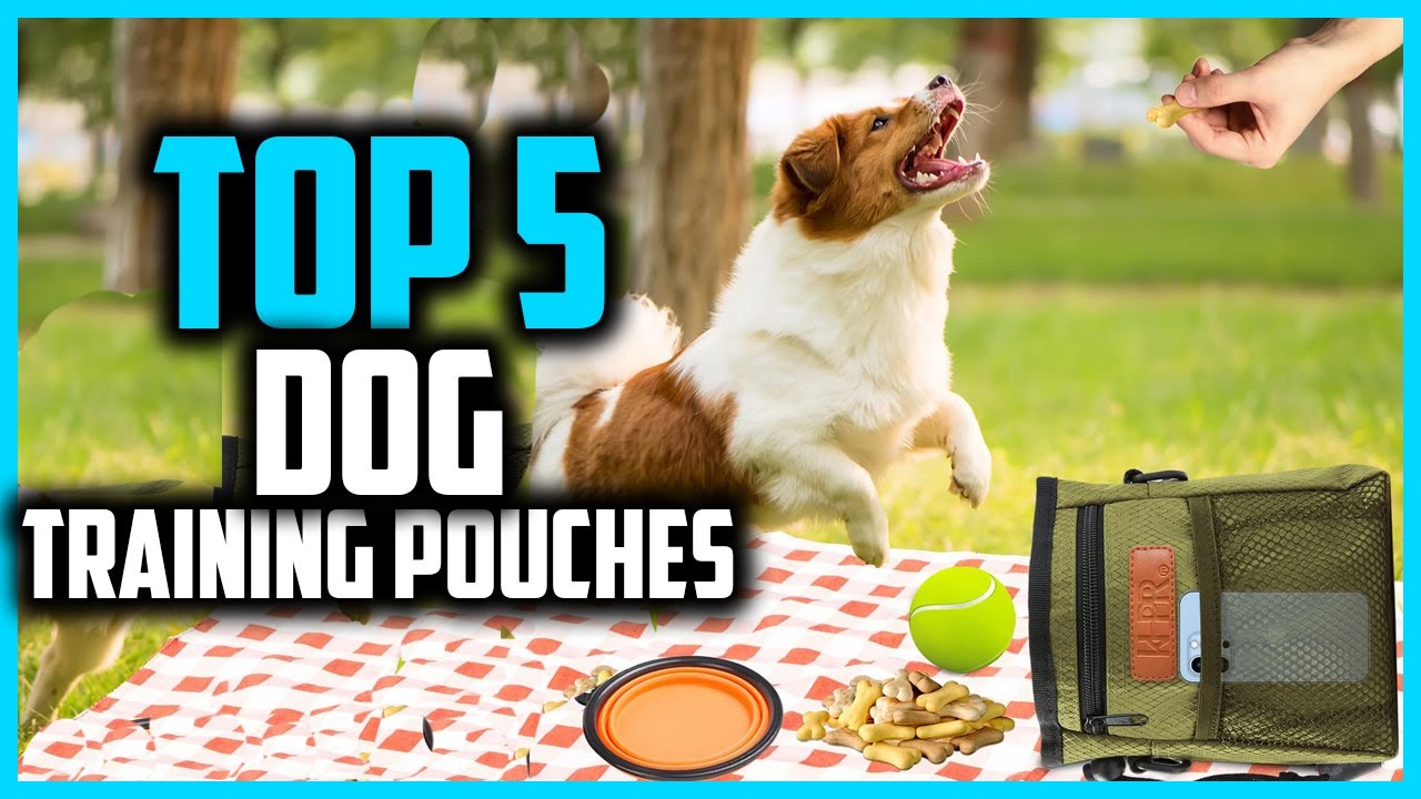 ✅Top 5 Best Dog Training Pouches in 2026