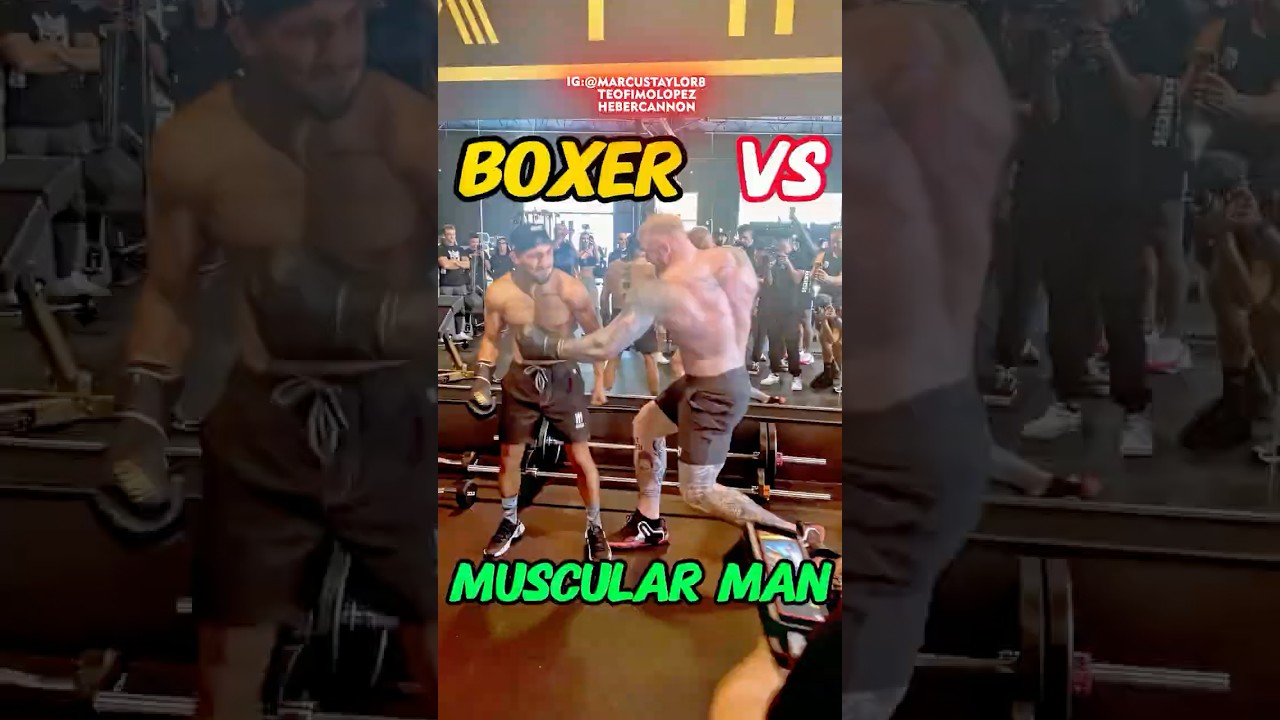 Who's better, a professional boxer or a muscle man?