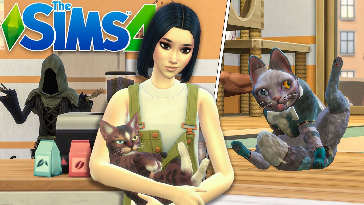 Ho aperto un Cat Cafè (finita tragicamente) - The Sims 4 Hobby e Attività