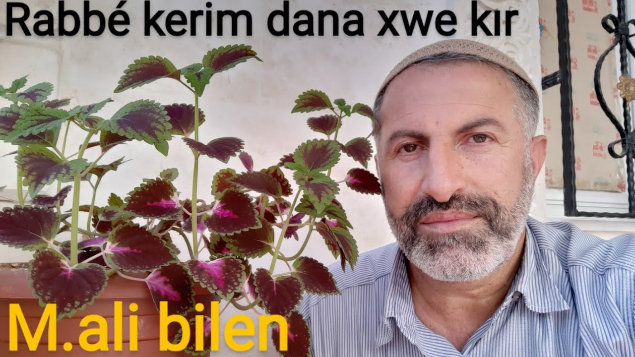 RABBÉ KERİM.M.ALİ BİLEN.