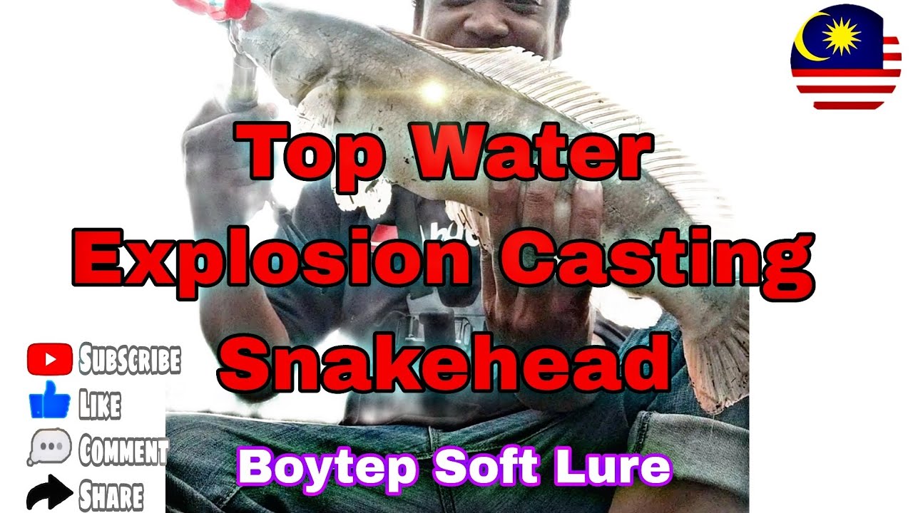 Top Water Explosions Casting Snakehead | Boytep Soft Lure | Catch And Release.
