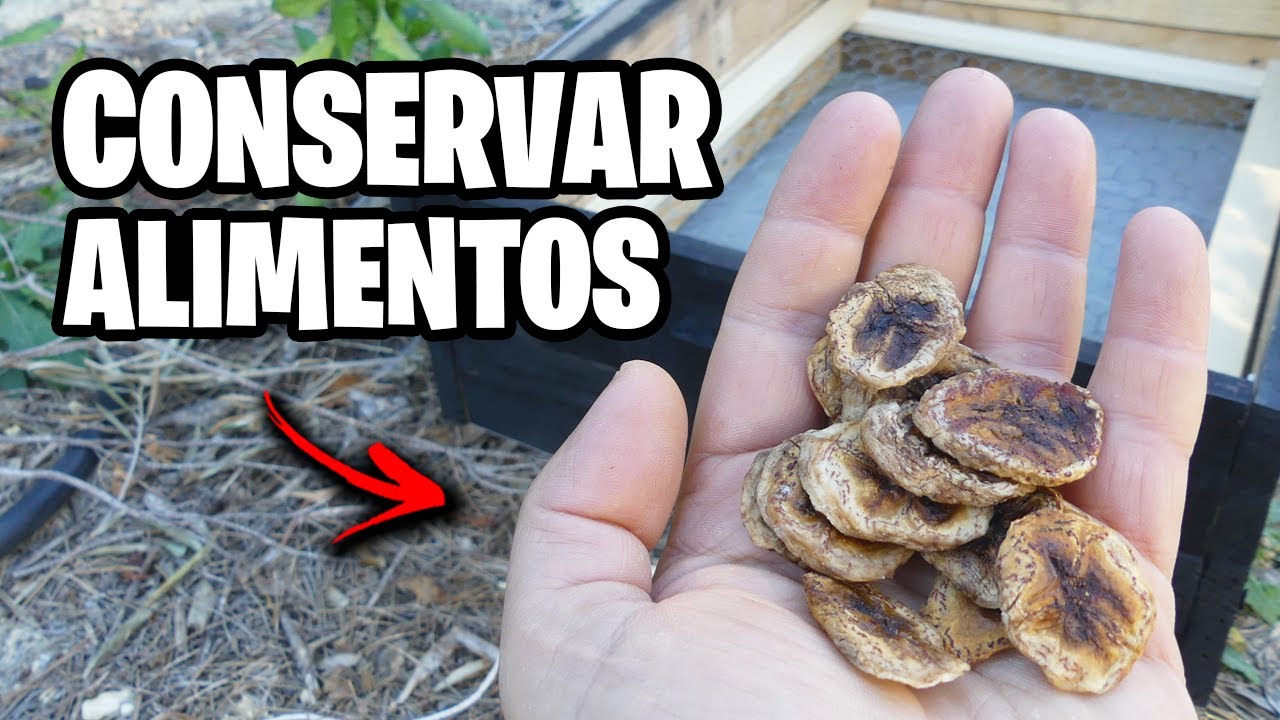 Construye un Deshidratador Solar de Alimentos Casero!! + Bluetti AC180 | La Huerta de Ivan