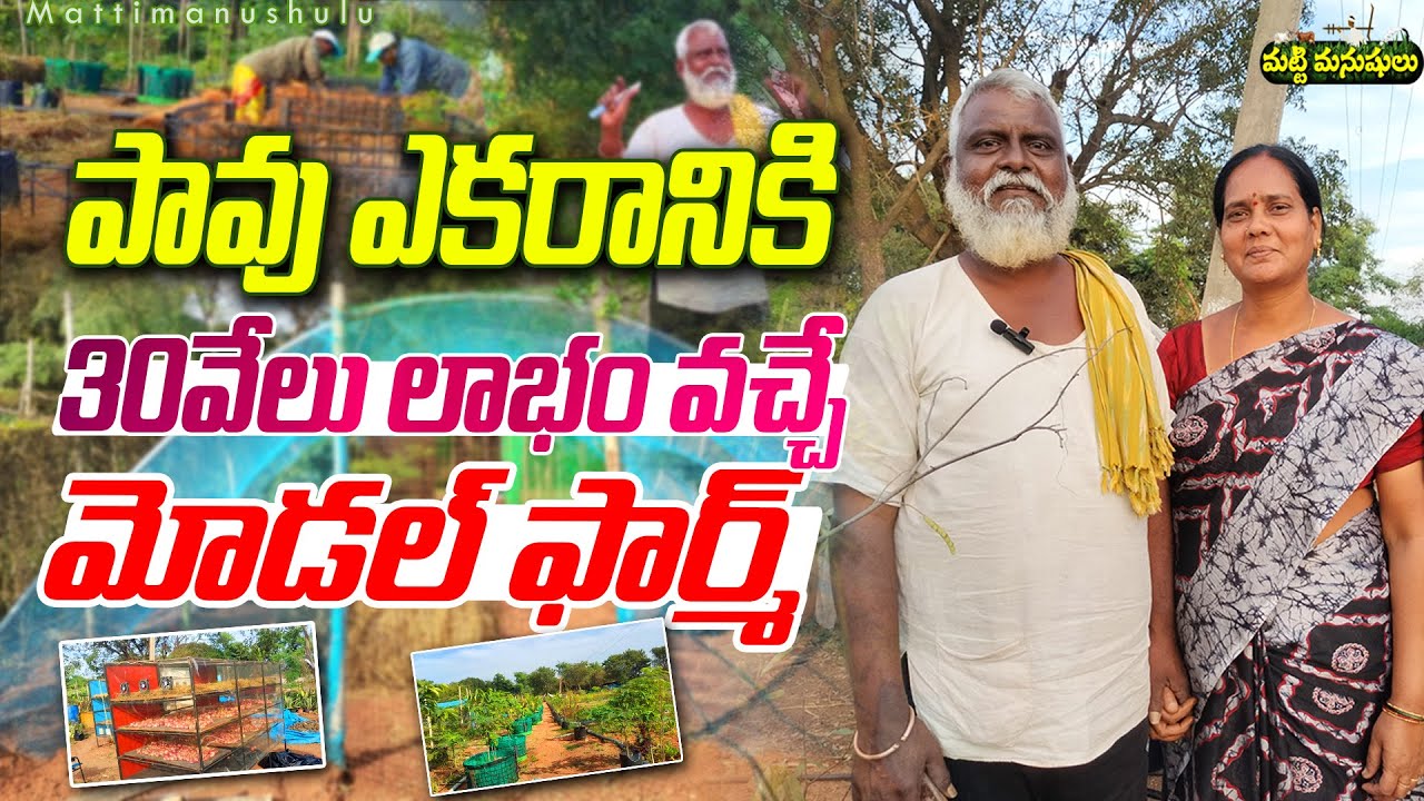 పావు ఎకరానికి నెలకు 30వేలు లాభం | Organic Model Farming | Pittala Organic Farming | Mattimanushulu