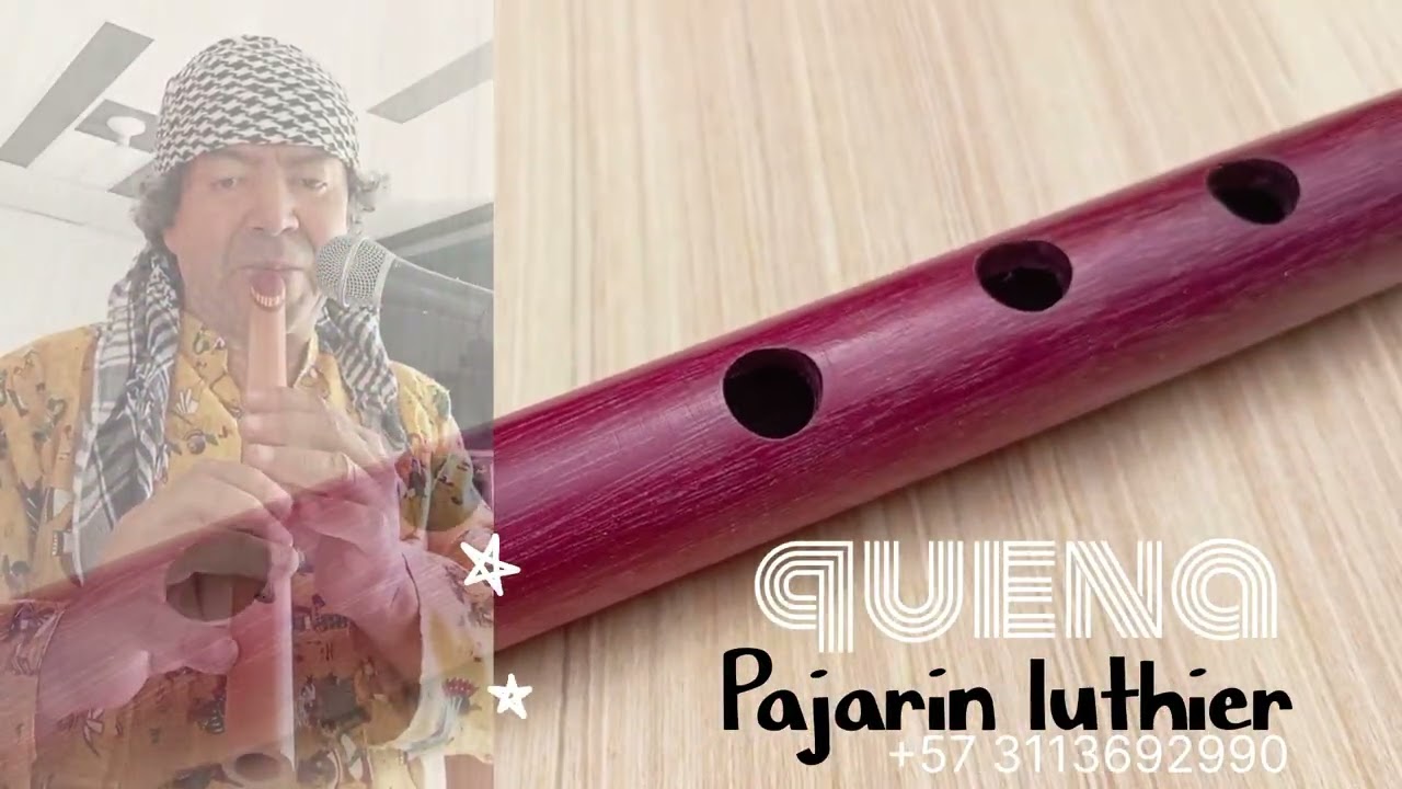 QUENAS  EN SOL  - Pájarin  luthier Manizales Colombia. 