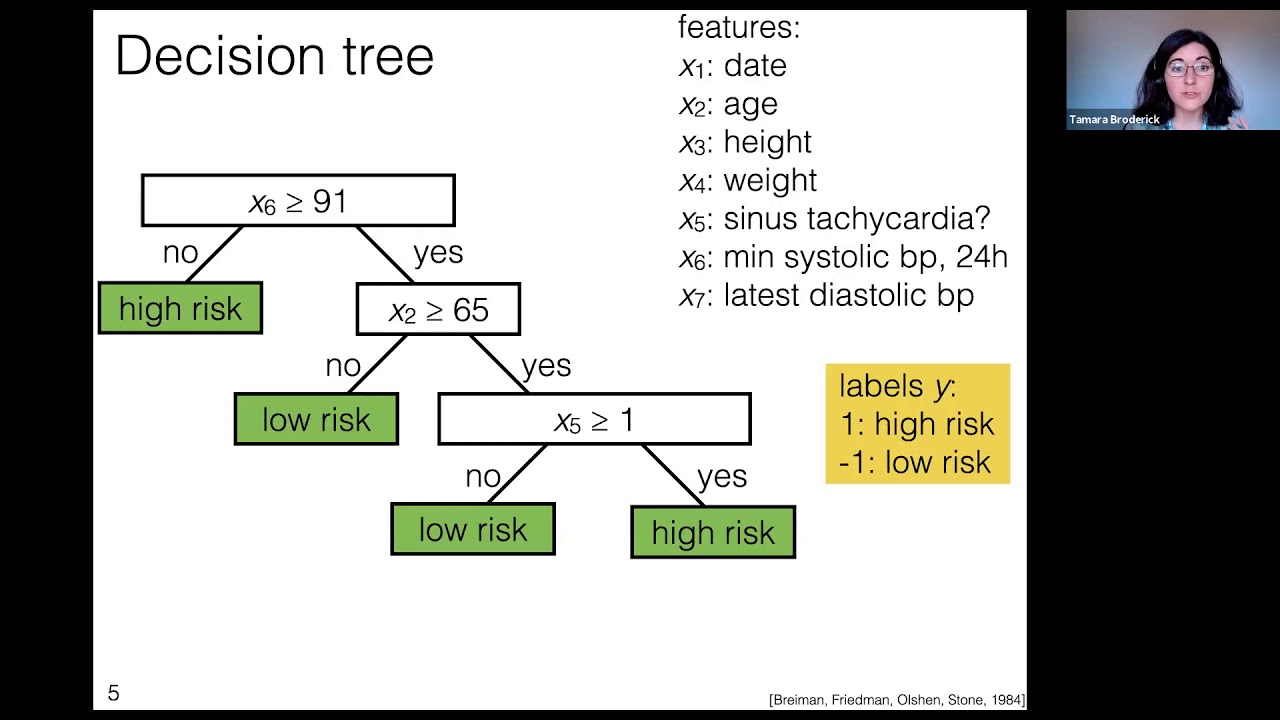 MIT: Machine Learning 6.036, Lecture 12: Decision trees and random forests (Fall 2020)