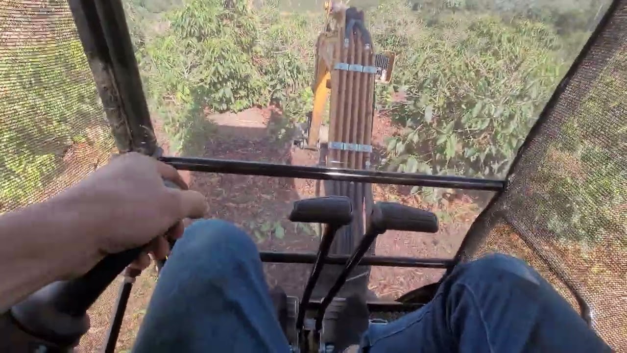 ARRANCANDO CAFÉ COM MINI ESCAVADEIRA SANY SY16C