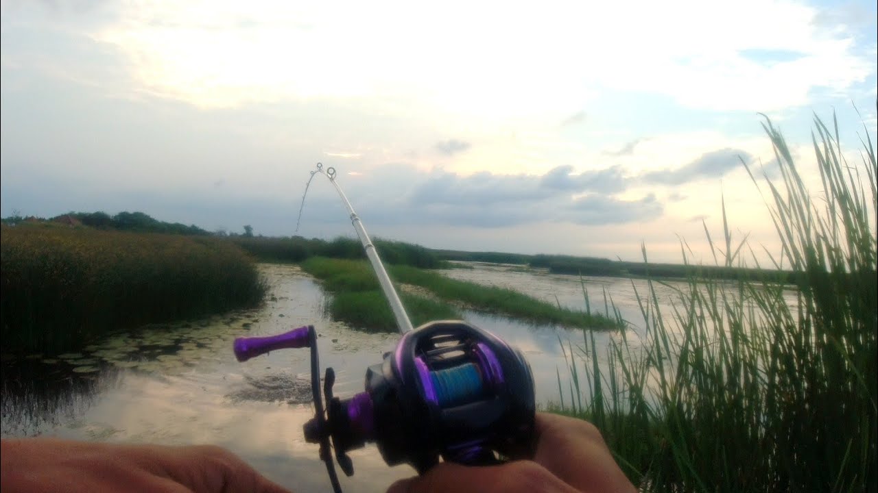 TEST CASTING GABUS MENGGUNAKAN JORAN TRAVEL ROD LEMOREN !! LANGSUNG AMIS