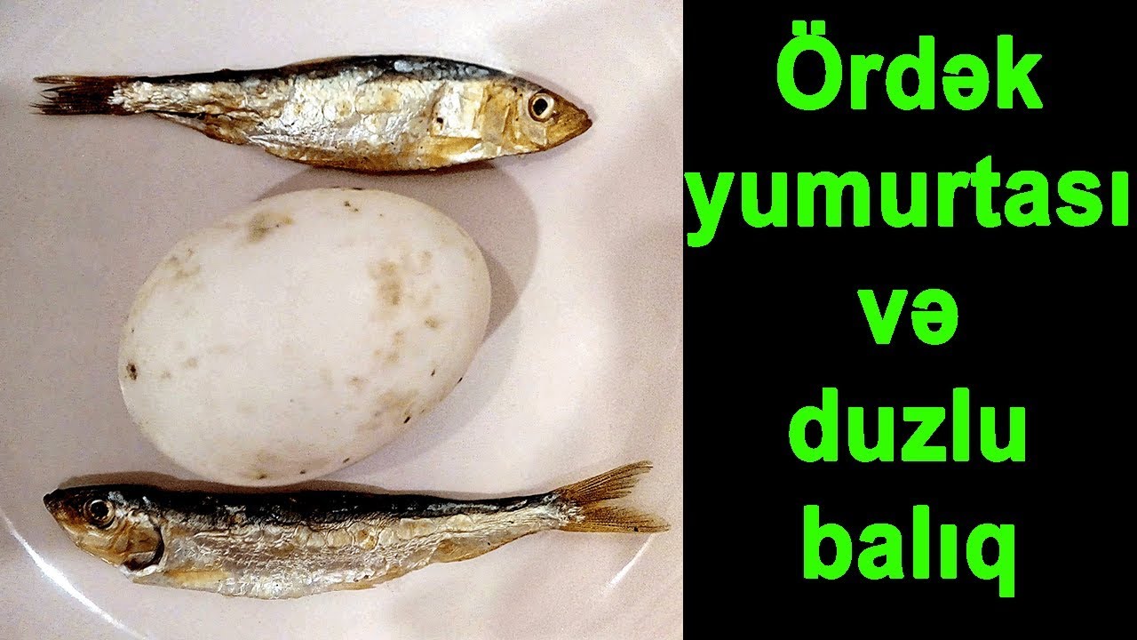 Ördək yumurtası və duzlu balıq | TarPas mətbəxdə