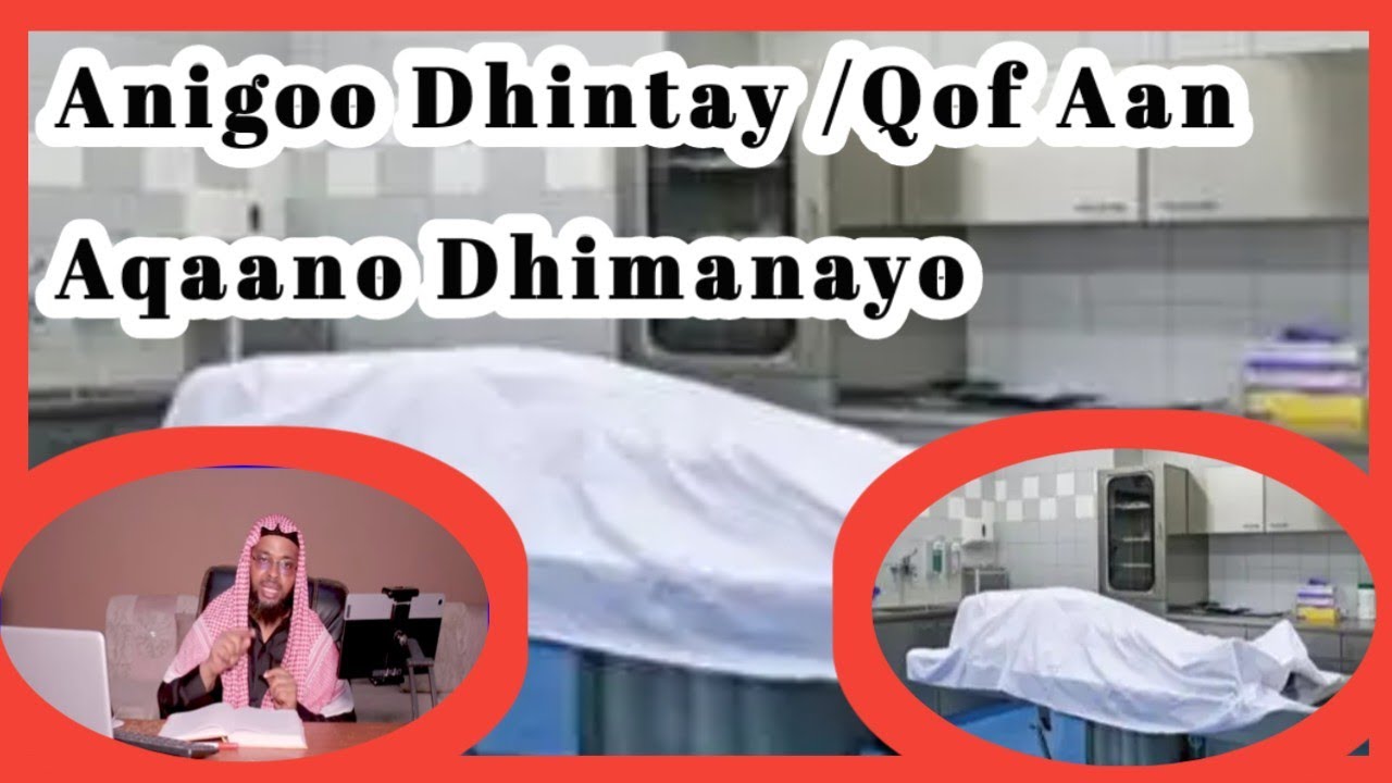 Waxaan Ku Riyoodaa Anigoo Dhimanayo Aman Qof Ayaa Igu Riyoodo 🤔