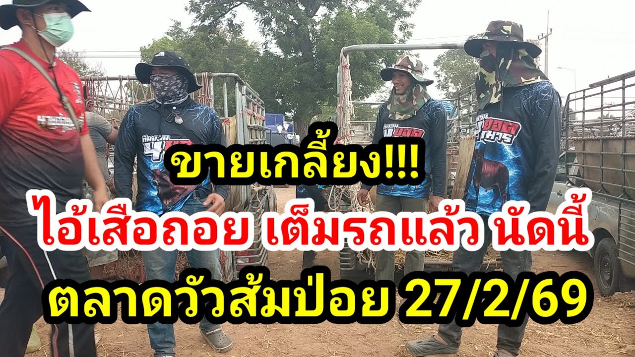 🔴ตลาดวัวส้มป่อยน้อย!! วัวงาม วัวเลี้ยง วัวสาวน้อย วัวแม่ลูก วัวไทย คลิปนี้มีคำตอบ??