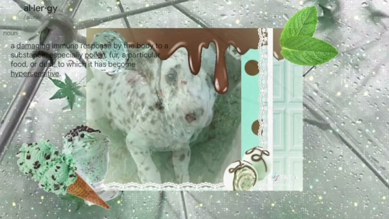  || Cute [Sped Up] Edit audios cause I’m allergic to mint !! ||