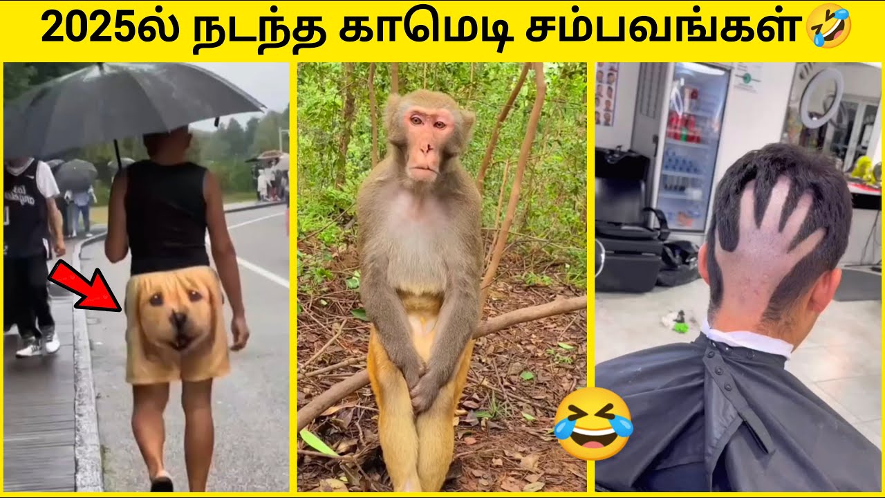 2025ல நடந்த Super Comedy Scenes | Unbelievable But True!