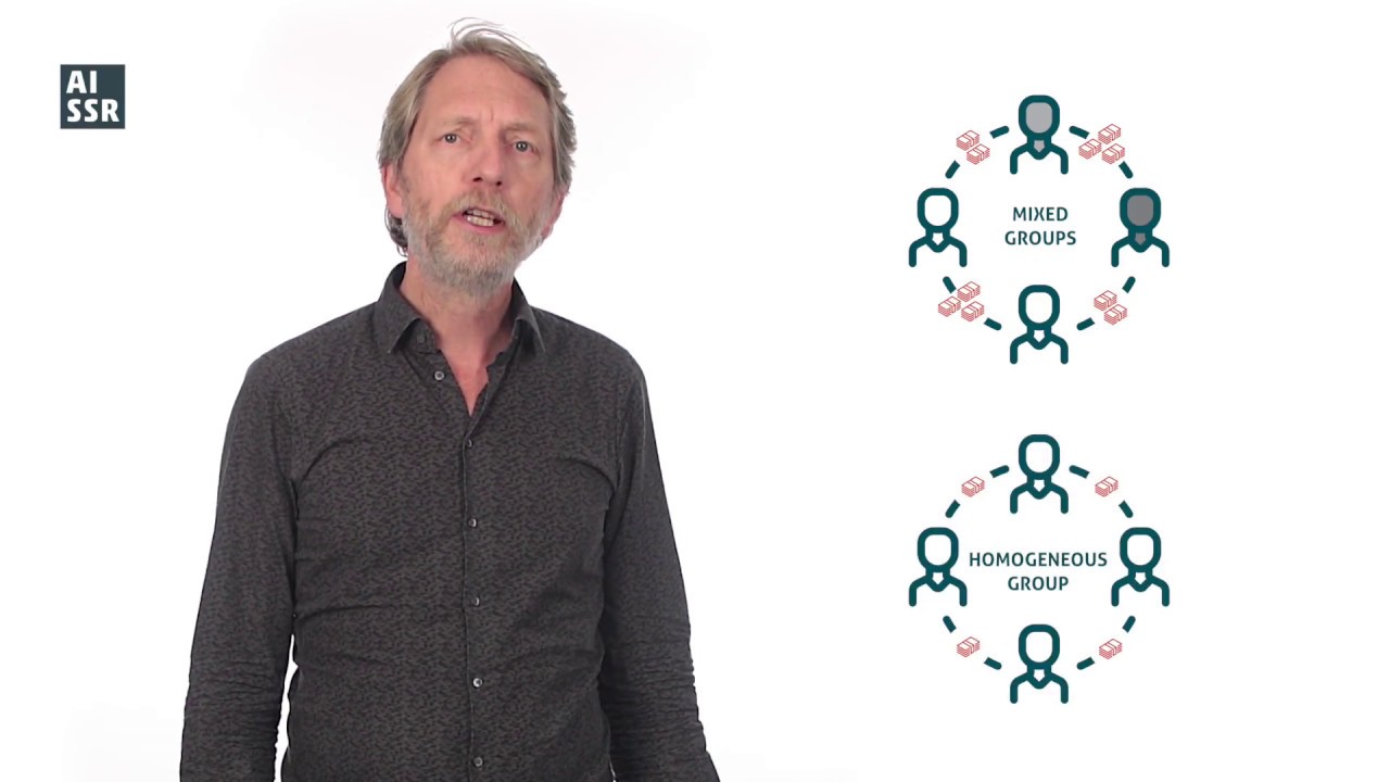 Ethnic diversity and solidarity | Paul de Beer | University of Amsterdam