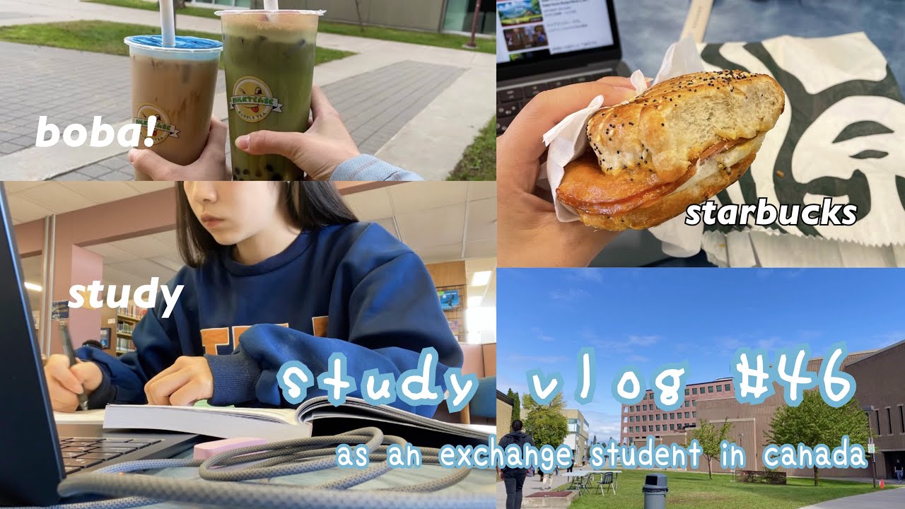 Study Vlog#46 【ENG】最近はこんな感じで留学生してます😳