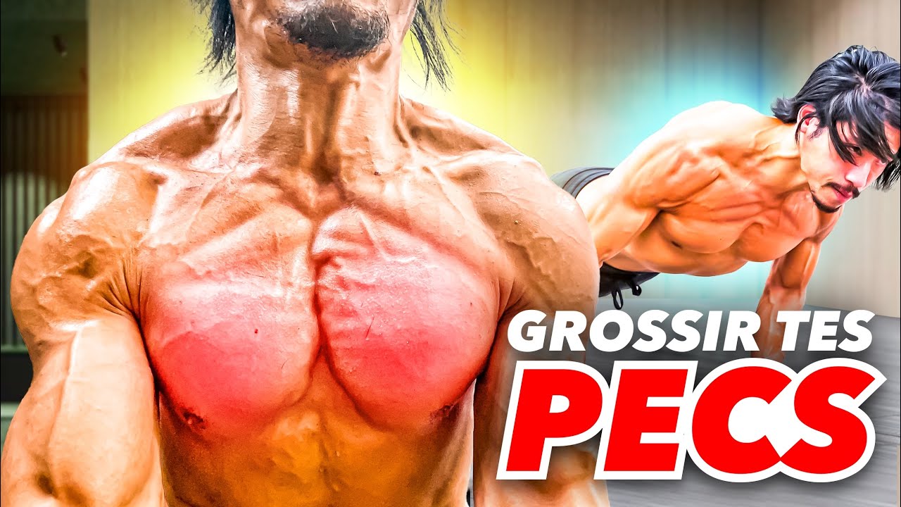 FAIS GROSSIR TES PECS AVEC SEULEMENT 1 EXO ! (QUE DES POMPES)