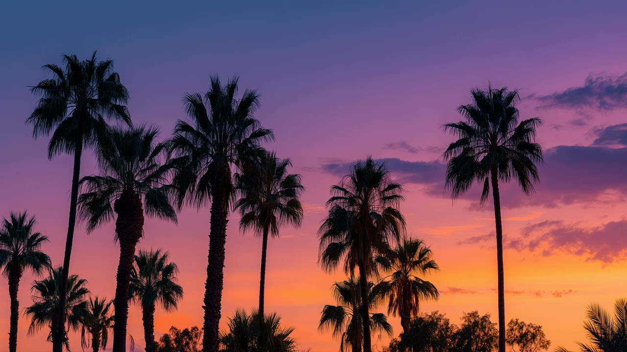 The Ultimate Playlist for a Relaxed 2026