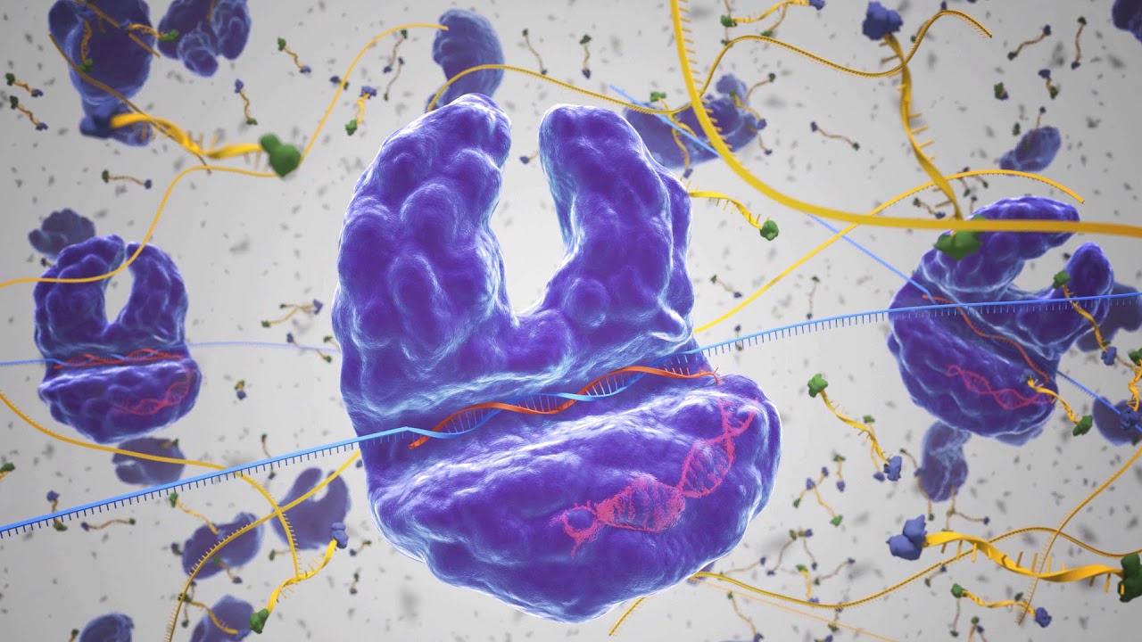 SHERLOCK: A CRISPR Tool to Detect Disease