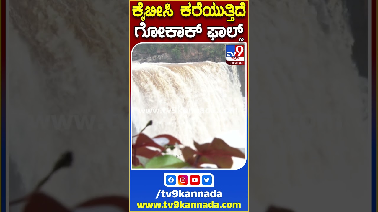 ಕೈಬೀಸಿ ಕರೆಯುತ್ತಿದೆ ಗೋಕಾಕ್ ಫಾಲ್ಸ್ |#GokakFalls #TV9S