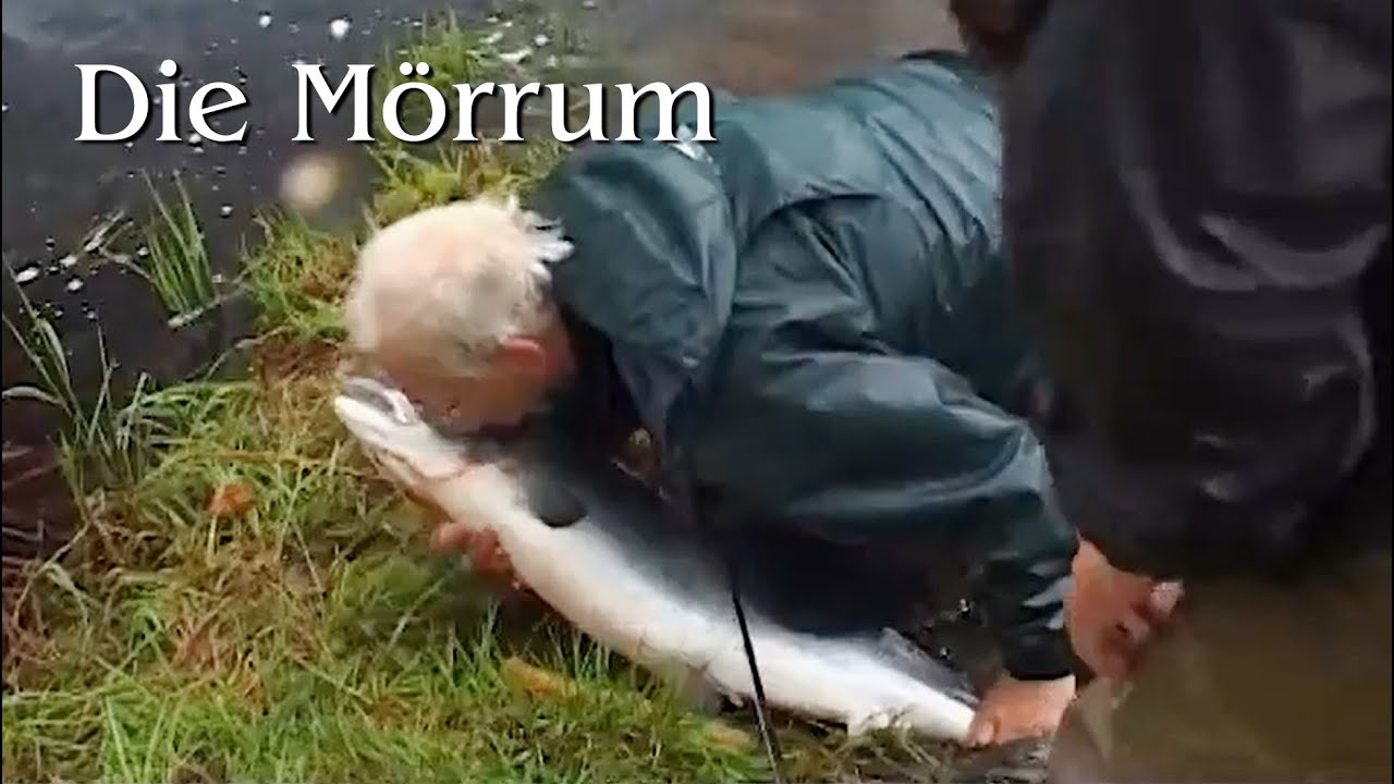 Die M&ouml;rrum (Full Movie - German)