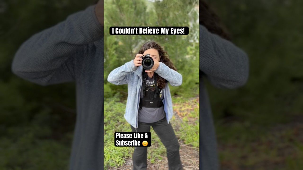 You Won’t Believe What I Saw on My Daily Nature Walk 🐦📸