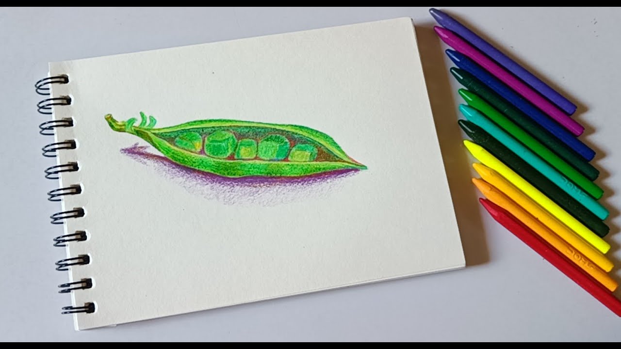 Pea Pod Drawing with Crayons | Easy Step-by-Step Vegetable Drawing