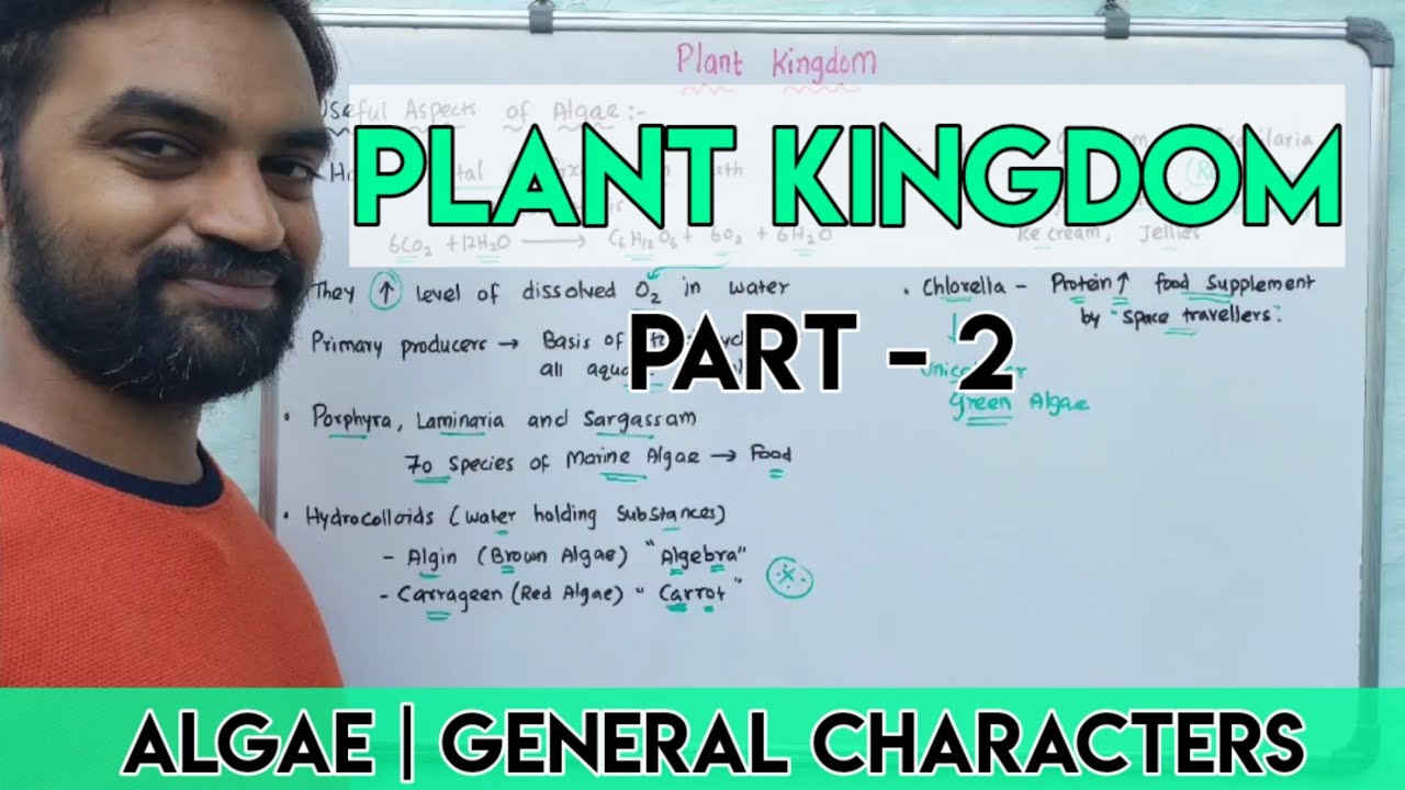 Plant Kingdom | Part 2 | Algae | General characters