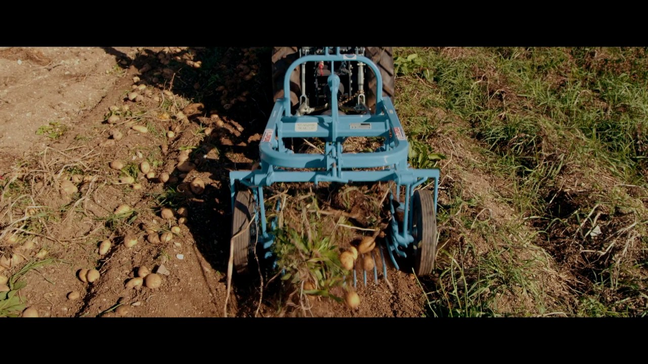 F.LLI SPEDO - SCAVAPATATE PER TRATTORINO