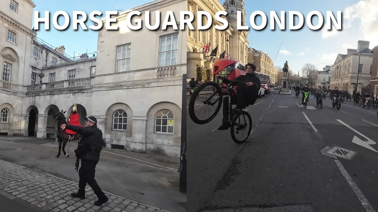 Today At The HORSE GUARDS. Horse Upset By Passing Protest #horselove #horse #horseguardsparade