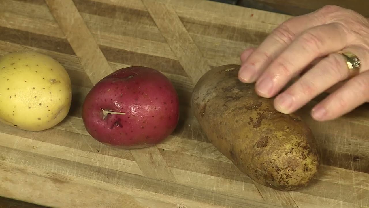 Pick the Right Potato