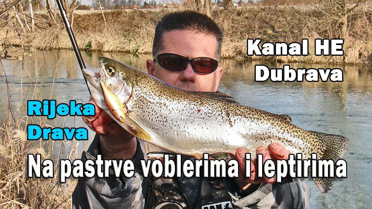 PASTRVE varalicama - Voblerima i leptirima do KAPITALKI, rijeka Drava / VSP Igor Pavičić