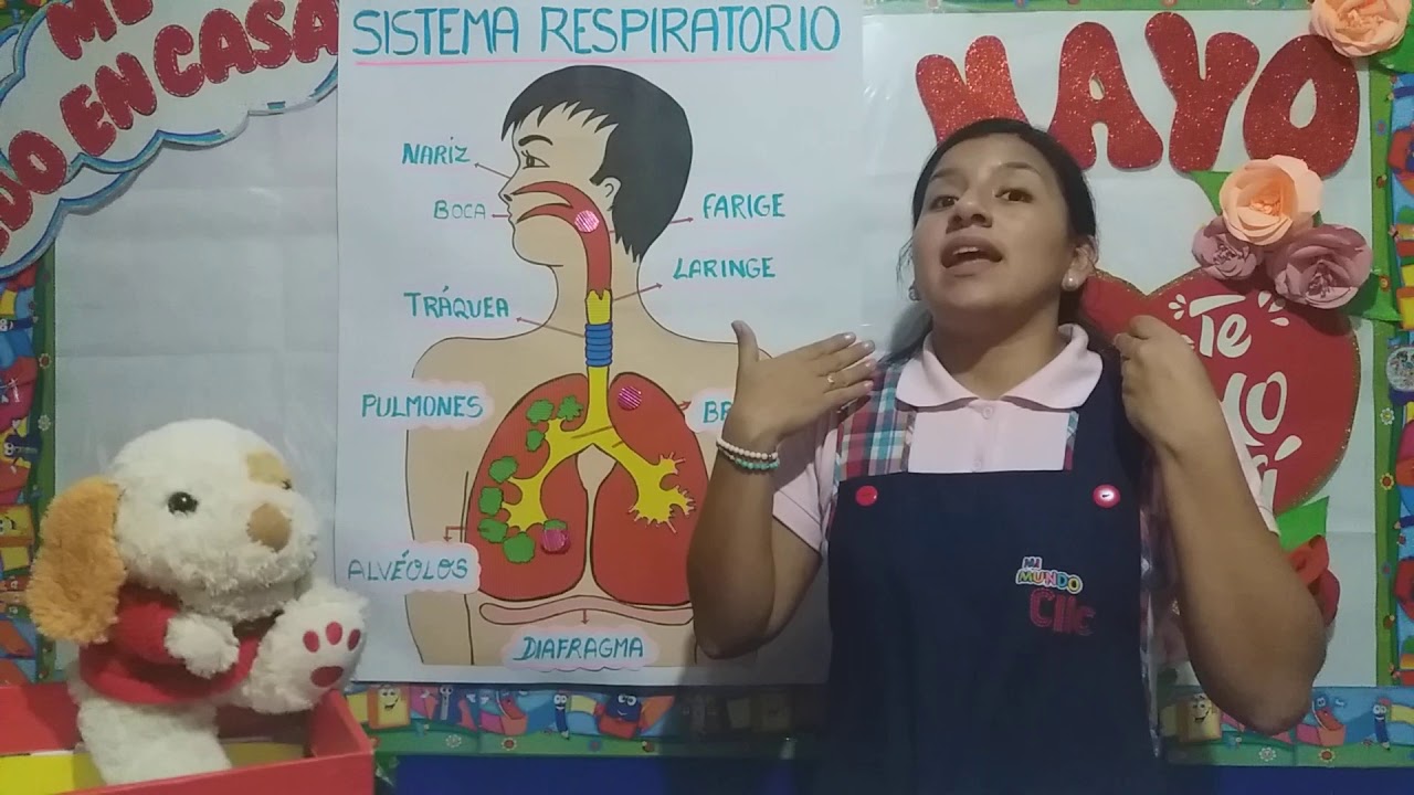Sistema respiratorio _ Inicial 5 años (ciencia)