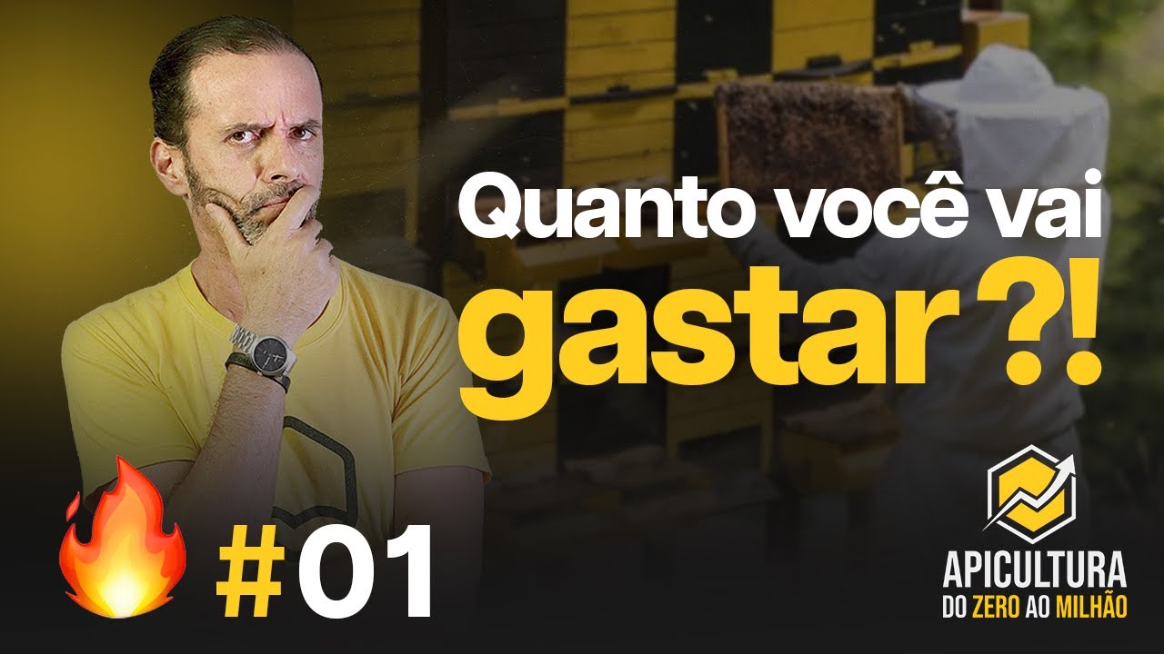 Quanto custa iniciar na Apicultura? | Aquecimento #01