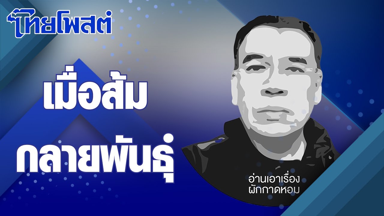 อ่านเอาเรื่อง : เมื่อส้มกลายพันธุ์