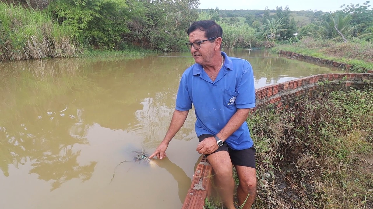 O POSSO GRANDE ENCHEU DEMAIS DEPOIS DAS CHUVAS, TIVE QUE BAIXAR + PESCA DE ALEVINOS NA LAGOA
