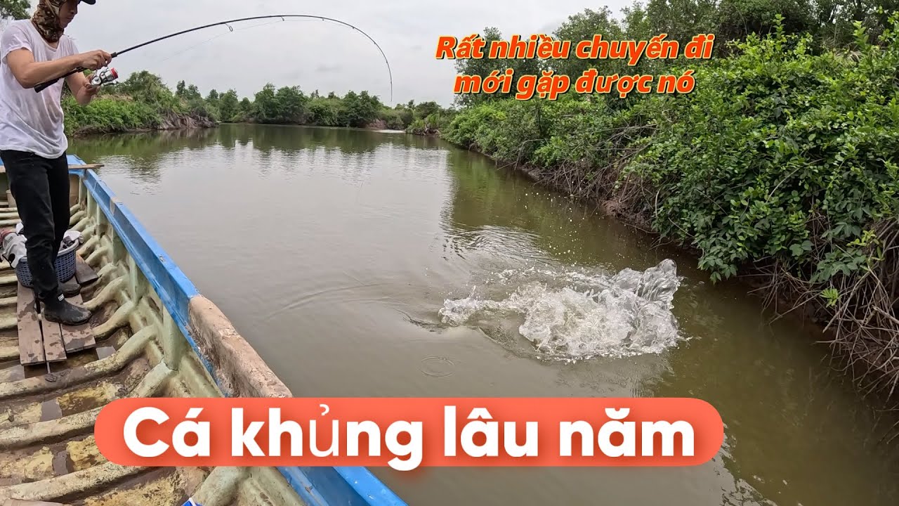 Câu lure cá chẽm bình đại- đầm cá kể luôn có nhiều bí ẩn 