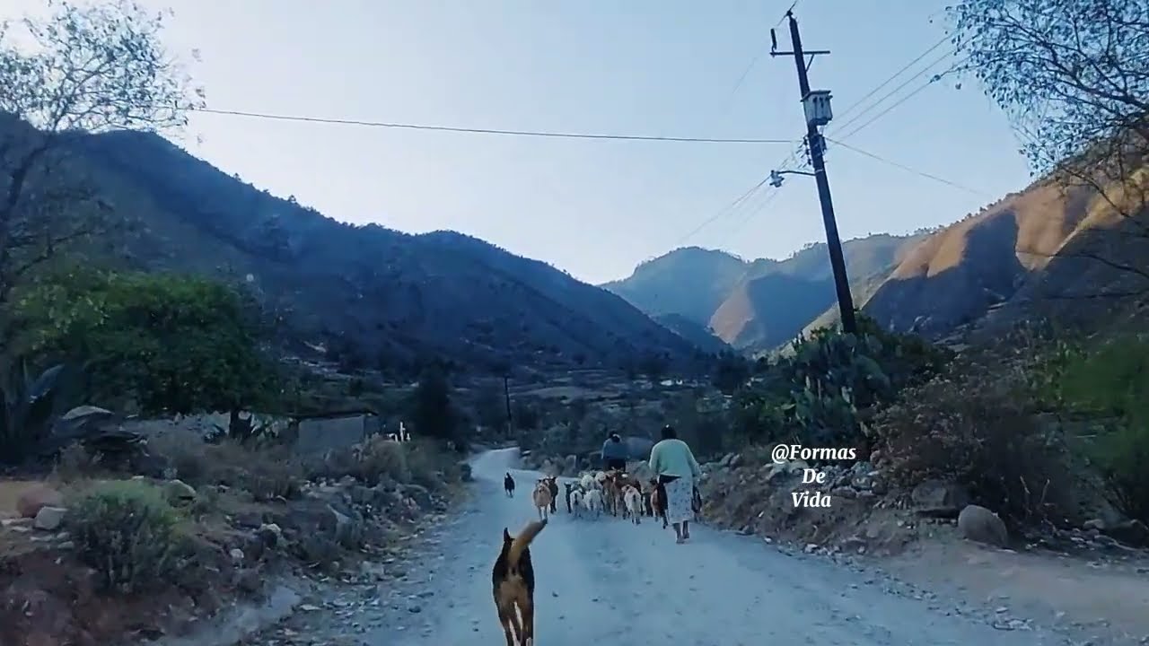 Recorrido por San Andrés Yahuitlalpan, Zautla Puebla