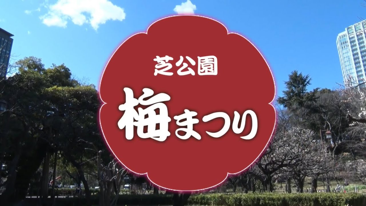芝公園梅まつり