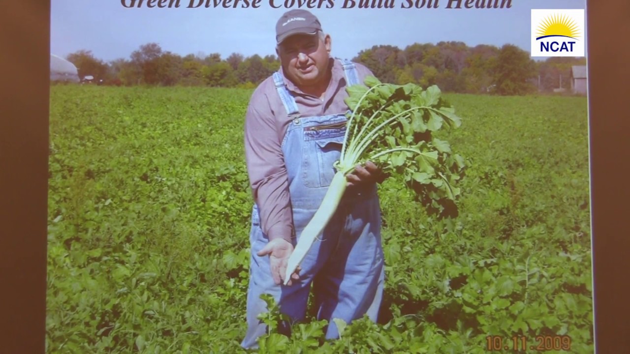 Mimicking Nature: One Farmer's Cover Crop History