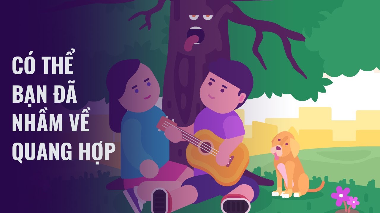 Có thể bạn đã nhầm về quang hợp