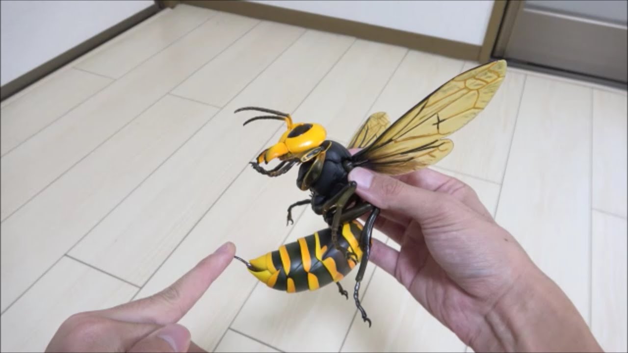オオスズメバチに刺された